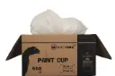 PPS - Paint System 